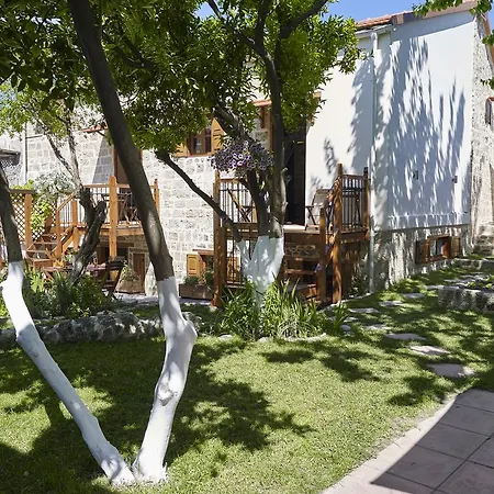 Helios Garden Boutique